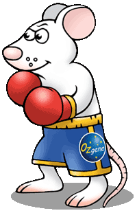 knockout mice