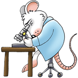 Microscope mouse