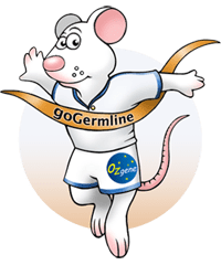 Scientist mouse