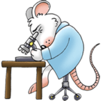 Careers - Ozgene Scientist mouse