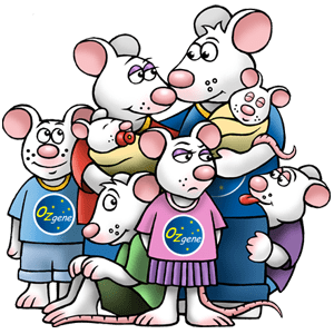 Fertile mice