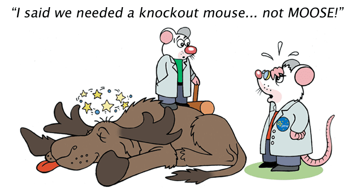 mouse not moose