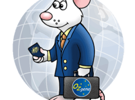 Ozgene travel mouse