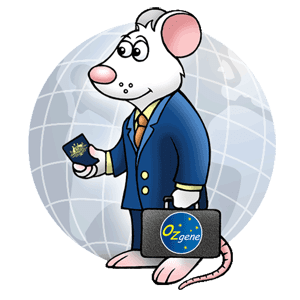 Ozgene travel mouse