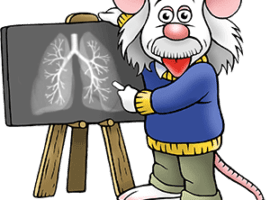 Einstein_lung_research