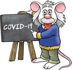 COVID-19 mouse