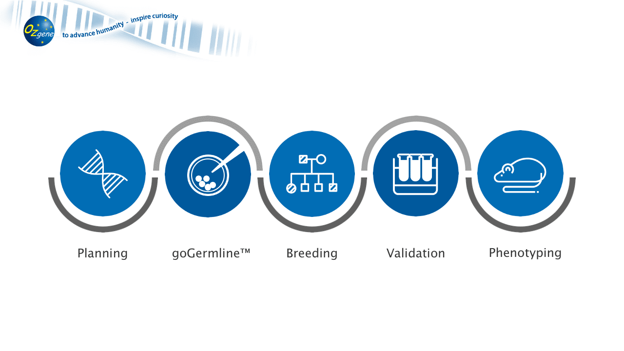 Ozgene capabilities