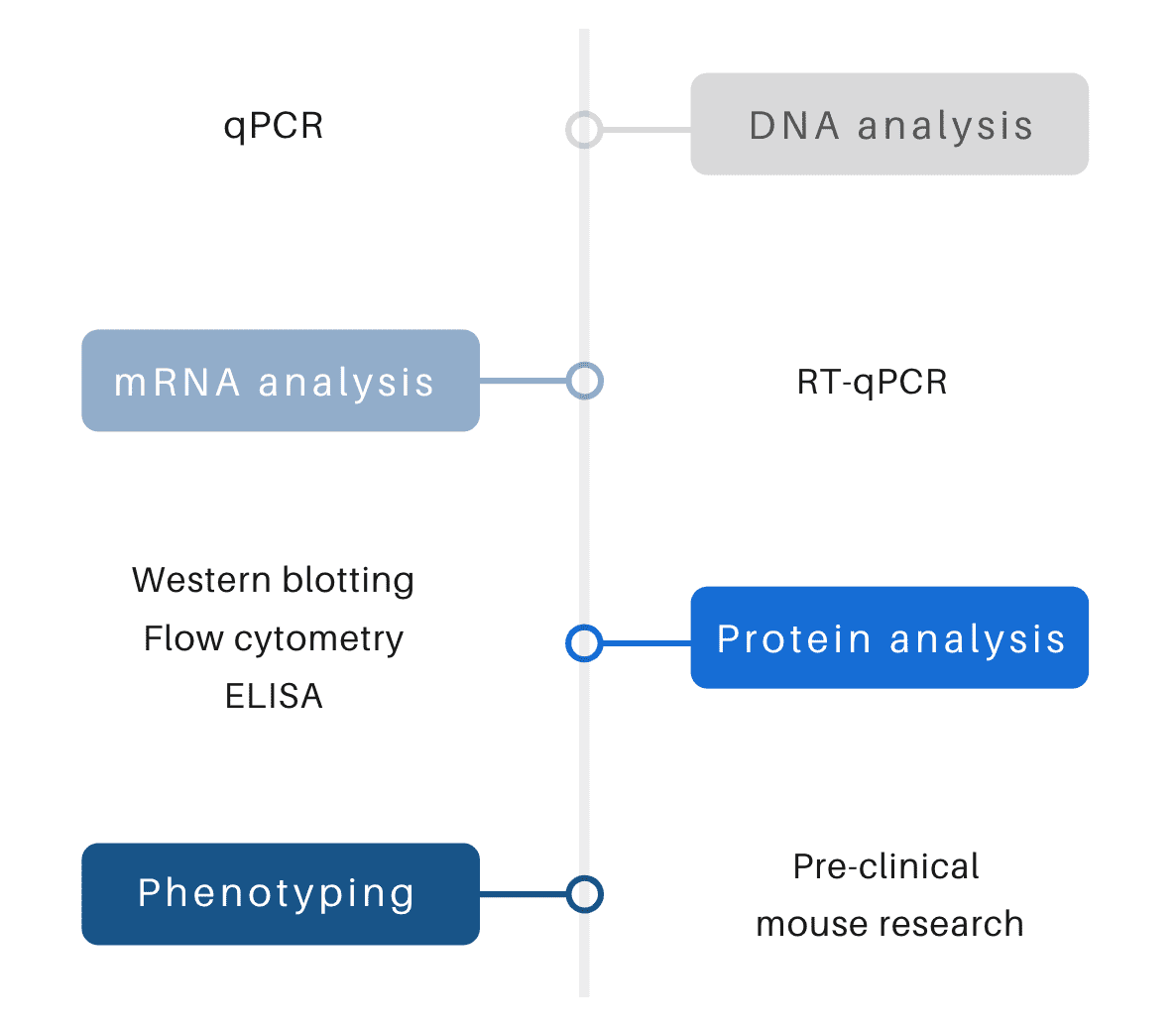 Mouse model validation and phenotyping