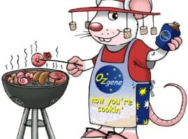 bbq_xmas_mouse