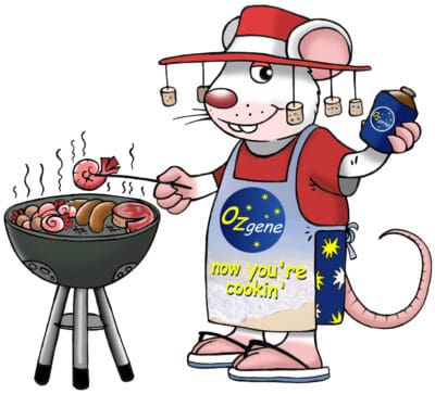 bbq_xmas_mouse