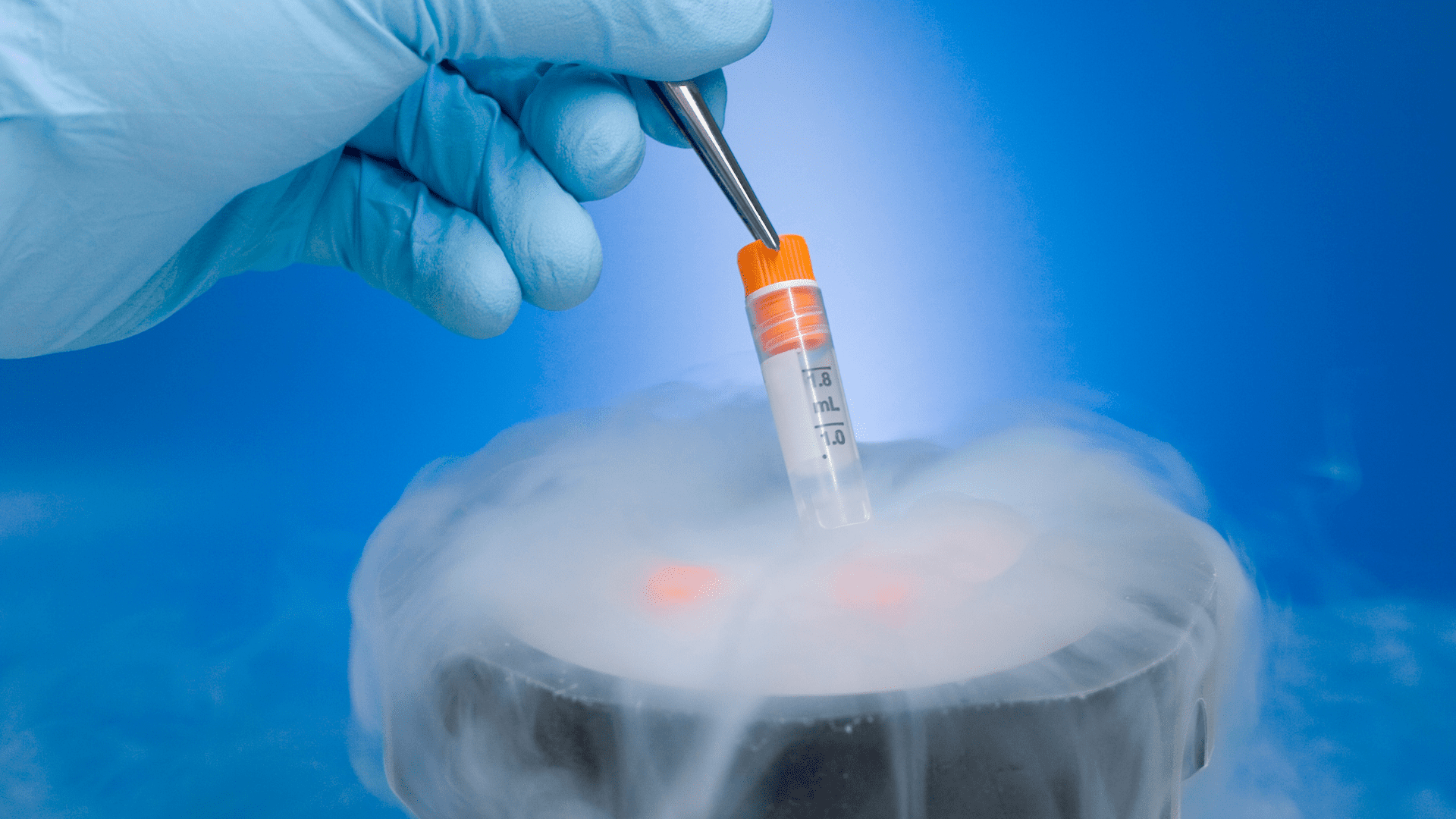 Cryopreservation