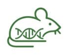 Ozgene