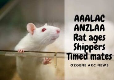 Ozgene Post thumbnail